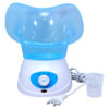 Deep Cleaning Facial Steamer